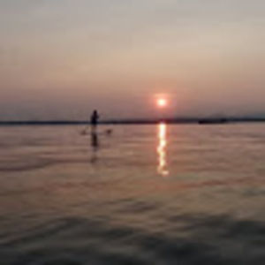 Meet your Posher, Bailey